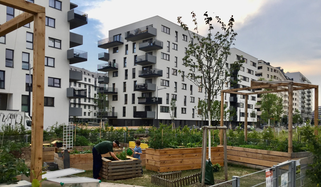 Eine Wohnanlage. Foto: unibz